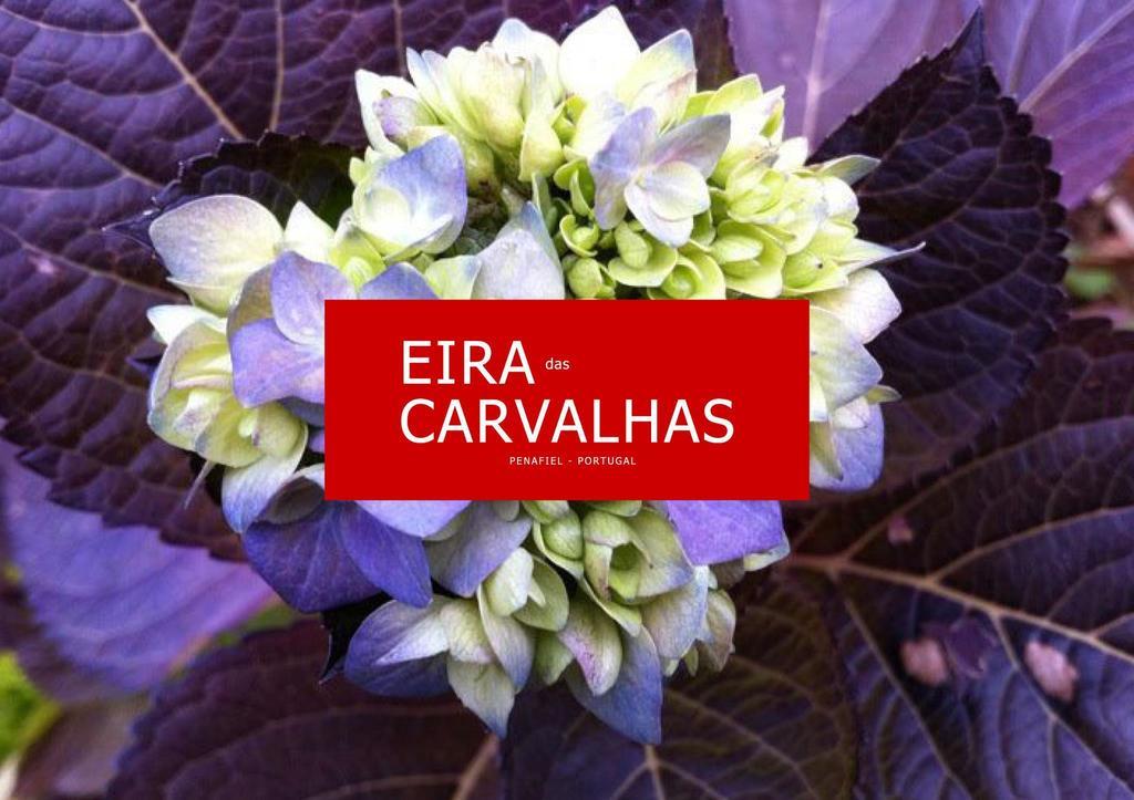 פנאפיל Eira Das Carvalhas חדר תמונה